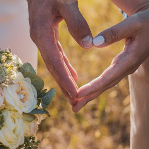 DaWinciPhotography-2