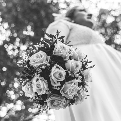 DaWinciPhotography-51